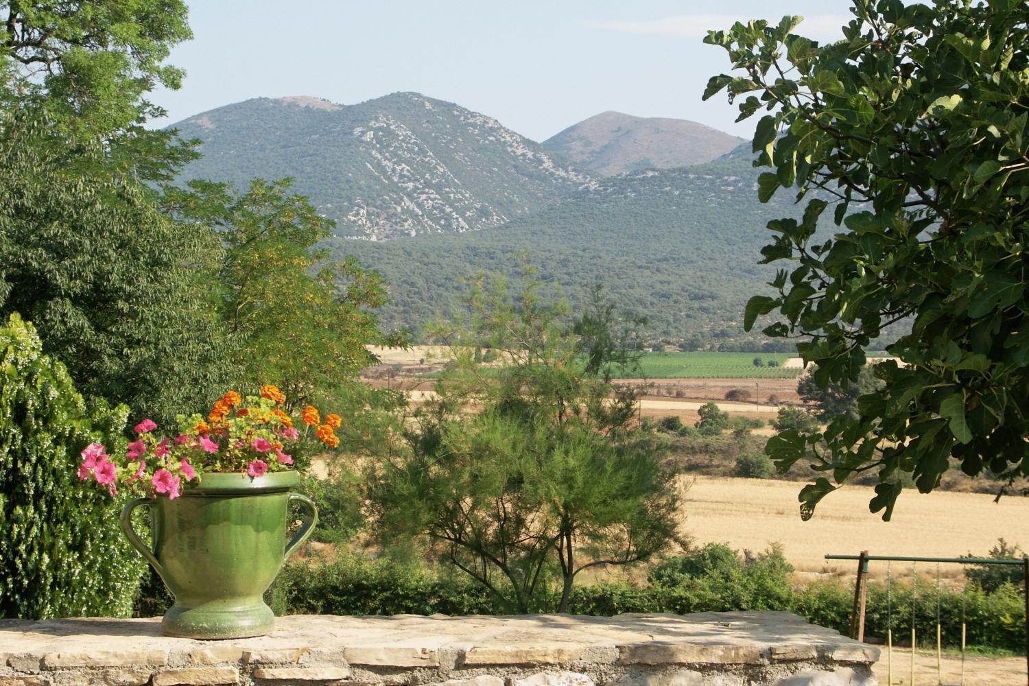 Domaine De Blancardy Hotel Moules-et-Baucels Luaran gambar